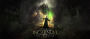 Incarnum: The Chronicle