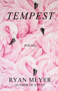 Free kobo ebooks to download Tempest: Poems 9780578831756 by Ryan Meyer CHM