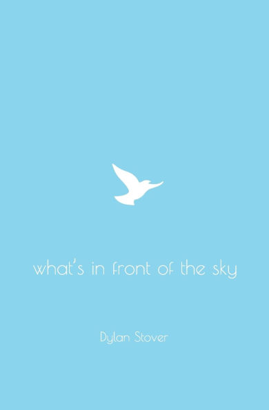 What's in Front of the Sky