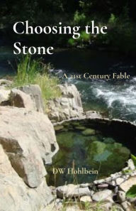 Title: Choosing the Stone: A 21st Century Fable, Author: DW Hohlbein