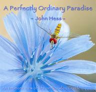 Title: A Perfectly Ordinary Paradise: An intimate view of life on Brawley Creek, Author: John Hess