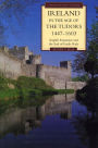 Ireland in the Age of the Tudors, 1447-1603: English Expansion and the End of Gaelic Rule / Edition 2