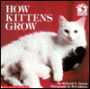 How Kittens Grow