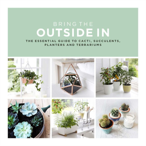 Bring The Outside In: Essential Guide to Cacti, Succulents, Planters and Terrariums