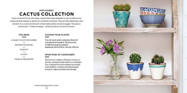 Bring the Outside In: The Essential Guide to Cacti, Succulents, Planters and Terrariums