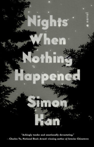 Nights When Nothing Happened: A Novel