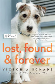 Get Lost, Found, and Forever by Victoria Schade 9780593098851 in English FB2 ePub CHM