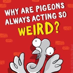 Real Pigeons Fight Crime (Book 1)