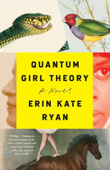 Quantum Girl Theory: A Novel