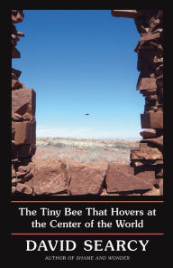 Ebooks download kostenlos englisch The Tiny Bee That Hovers at the Center of the World (English literature) iBook PDB FB2 by David Searcy