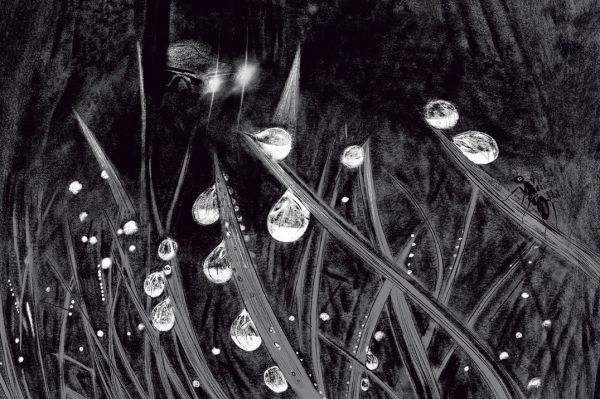 Dead Man Walking: Graphic Edition