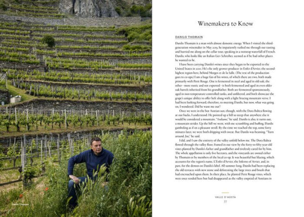 Vino: The Essential Guide to Real Italian Wine