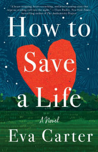 Best selling audio books free download How to Save a Life FB2 DJVU