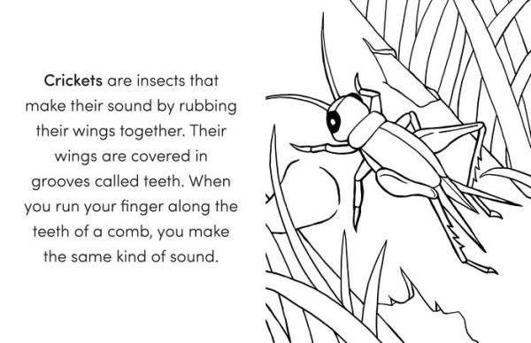 Bug Book for Kids: Coloring Fun and Awesome Facts