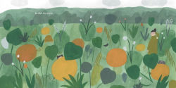 Alternative view 3 of Hiding: A Story About Finding Quiet in a Busy World