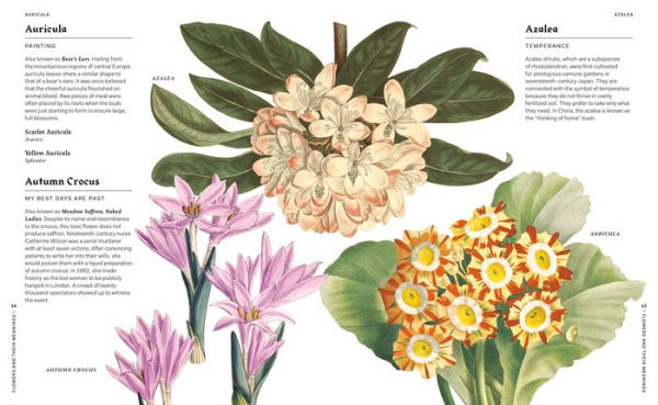 Flowers and Their Meanings: The Secret Language and History of Over 600 Blooms (A Flower Dictionary)