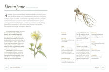 Alternative view 3 of Our Kindred Home: Herbal Recipes, Plant Wisdom, and Seasonal Rituals for Rekindling Connection with the Earth