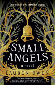Title: Small Angels: A Novel, Author: Lauren Owen