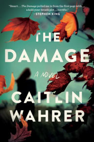 Free audiobook download The Damage: A Novel