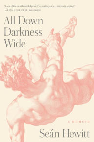 Free download for ebooks All Down Darkness Wide: A Memoir by Seán Hewitt