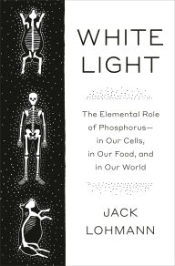Pdf book downloader White Light: The Elemental Role of Phosphorus-in Our Cells, in Our Food, and in Our World MOBI English version 9780593316610 by Jack Lohmann