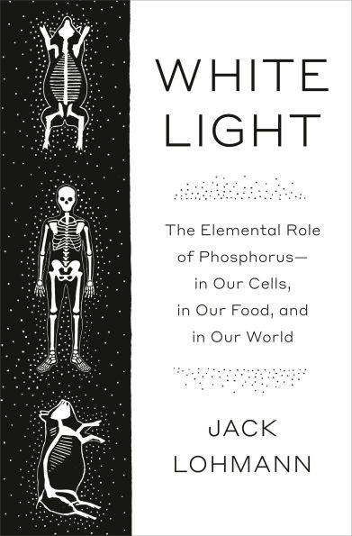 White Light: The Elemental Role of Phosphorus-in Our Cells, Food, and World