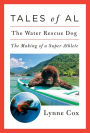 Tales of Al: The Water Rescue Dog