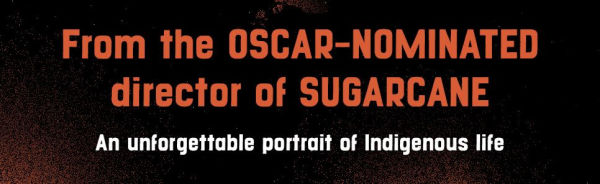 We Survived the Night