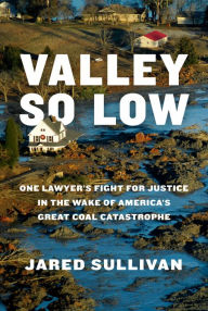Title: Valley So Low: One Lawyer's Fight for Justice in the Wake of America's Great Coal Catastrophe, Author: Jared Sullivan