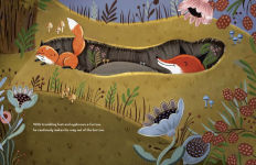 Alternative view 5 of Finnegan Fox