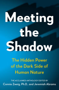 Meeting the Shadow: The Hidden Power of the Dark Side of Human Nature