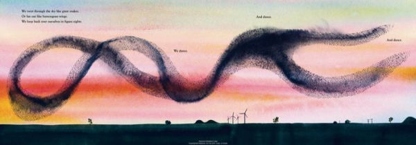 We Are Starlings: Inside the Mesmerizing Magic of a Murmuration