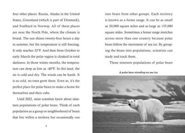 Save the...Polar Bears