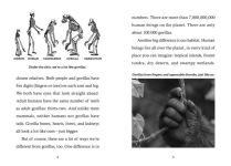 Alternative view 2 of Save the...Gorillas