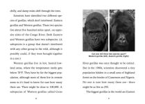 Alternative view 3 of Save the...Gorillas