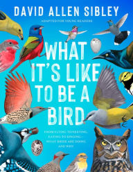 Title: What It's Like to Be a Bird (Adapted for Young Readers): From Flying to Nesting, Eating to Singing--What Birds Are Doing and Why, Author: David Allen Sibley
