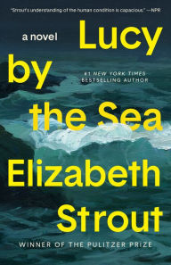 Download book to ipad Lucy by the Sea: A Novel 9780593446065 English version