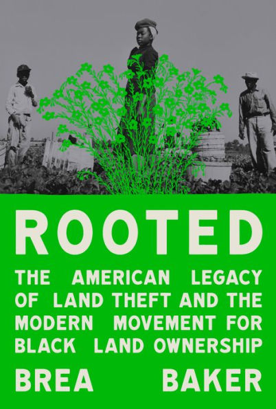 Rooted: the American Legacy of Land Theft and Modern Movement for Black Ownership