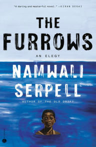 Free mobi ebook download The Furrows: A Novel in English by Namwali Serpell, Namwali Serpell