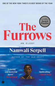 Free audio books motivational downloads The Furrows: A Novel by Namwali Serpell, Namwali Serpell 9780593448922