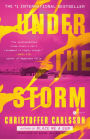 Under the Storm: A Novel