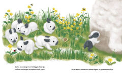 Alternative view 4 of The Cutest Brave Little Bunny