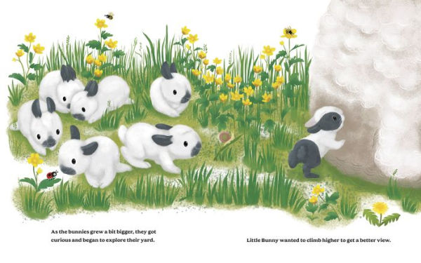 The Cutest Brave Little Bunny