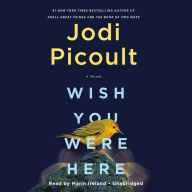 Wish You Were Here: A Novel