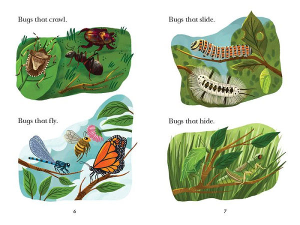 Bug Catchers