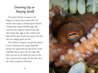 Alternative view 3 of Octopus!: Smartest in the Sea?