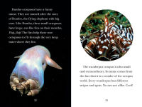 Alternative view 5 of Octopus!: Smartest in the Sea?