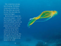 Alternative view 6 of Octopus!: Smartest in the Sea?
