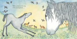 Alternative view 3 of I Love You, Little Horse