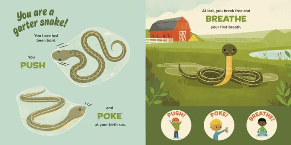 You Are a Garter Snake!